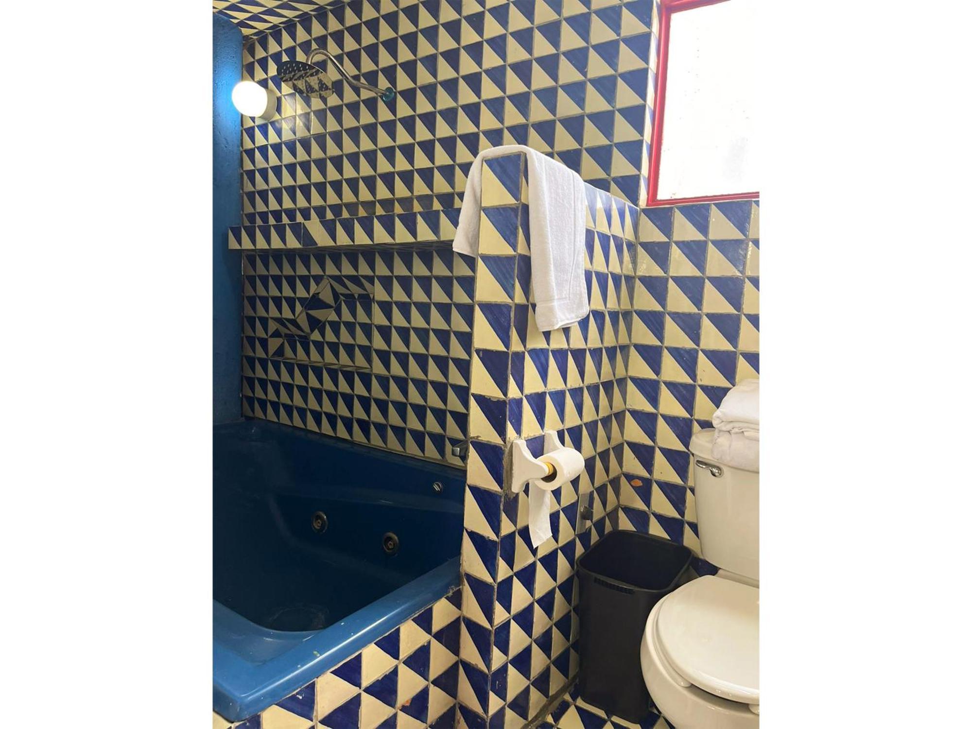 Lofts En Casa Azul Centro De Slp - Inmotega Apartment San Luis Potosi Phòng bức ảnh