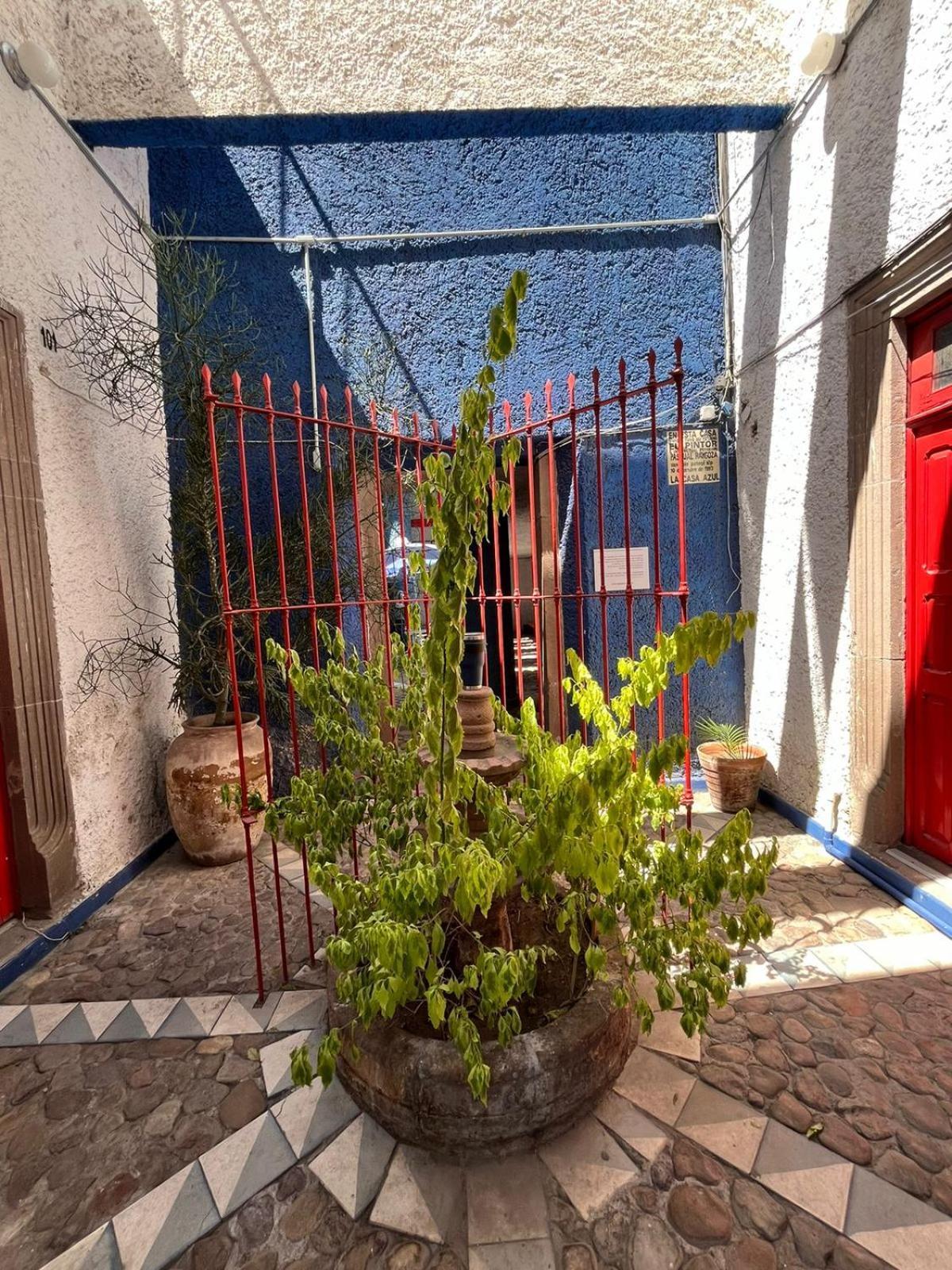 Lofts En Casa Azul Centro De Slp - Inmotega Apartment San Luis Potosi Ngoại thất bức ảnh